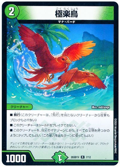 Birds of Paradise
